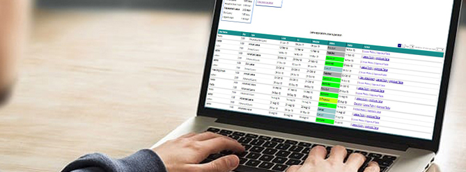 Comprehensive Attendance Reports