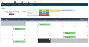 Features leave calendar